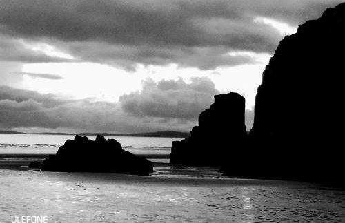 Shifty Chicken Shack - Foto 25