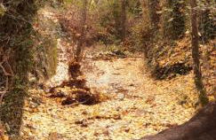 Alojamiento La Fuente - Foto 37