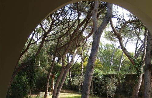 Villa Emma - Foto 56