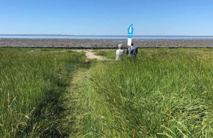 Minsener Warft - Photo 31