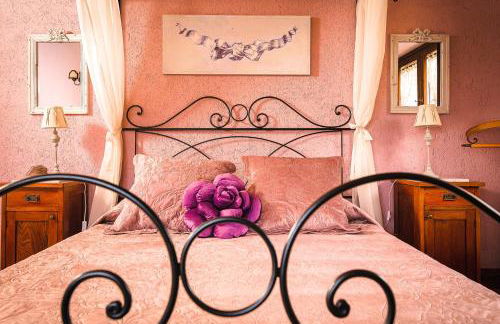 Garden Cactus - Foto 77