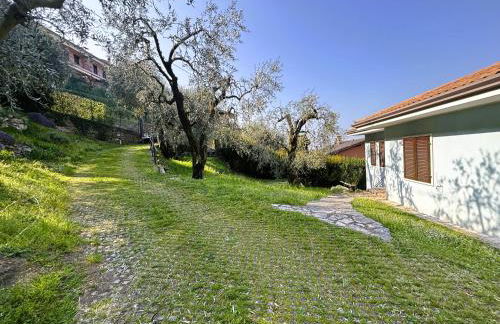 Appartamenti Belvedere - Foto 41