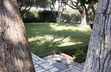 Olive TreeHouse - Foto 42