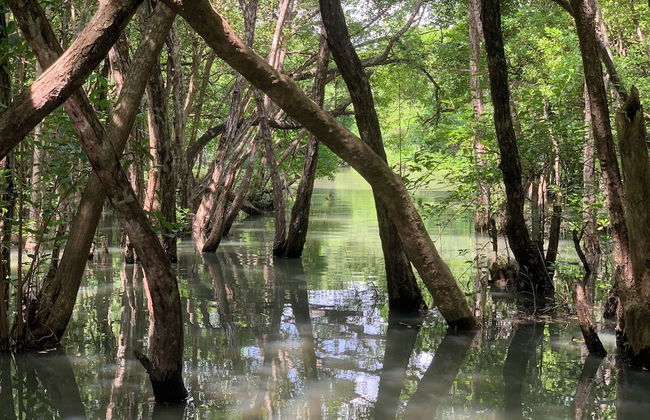 Villa de Lagoon View - Foto 9