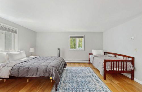 Frozen Jamaica - Foto 20