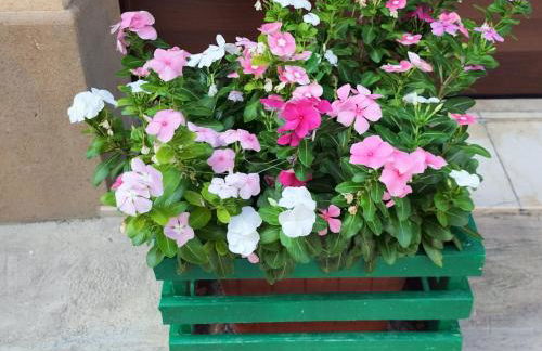 La casa di Anita nel cuore di Segesta - Foto 43