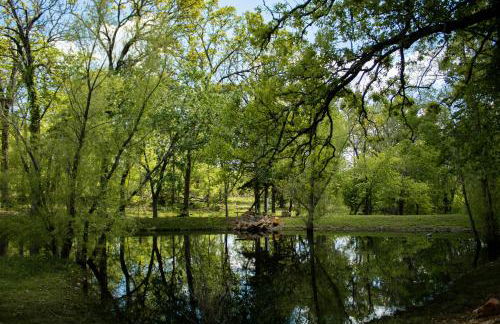 Oak Ridge Oasis - Foto 16