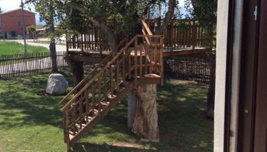 Campagna D'aMare - Foto 5, Garden view