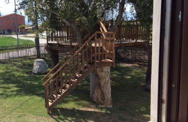 Campagna D'aMare - Foto 5