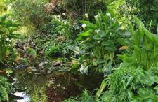 Erasmia's House - A Green Haven for Ultimate Relaxation - Foto 20