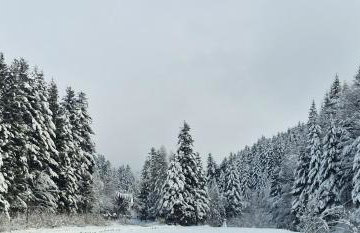 Apartament u Joli - Foto 35