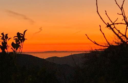 Finca Las Fuentezuelas - Foto 54