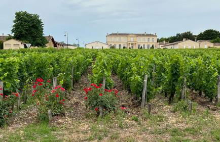 Alice’s house, Maison & Grange à 10km de l’Océan - Photo 26