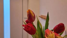 Central apartment in Buchholz idN - Foto 3