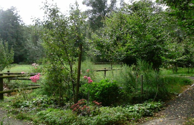 Heathside Family Retreat - Foto 19