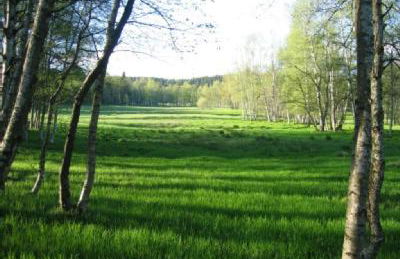 Haus am Gründel - Foto 20