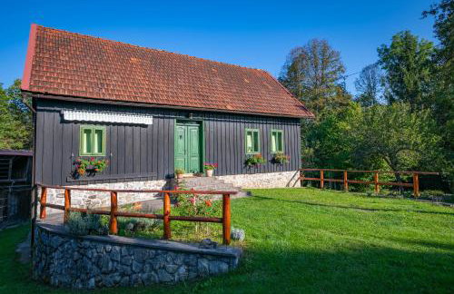 Šajnska Hiža, autentična goranska kuća u prirodi - Foto 2