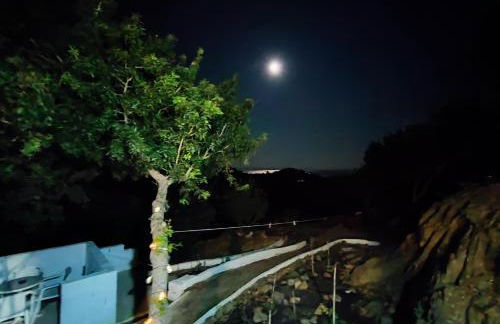 Villa Kotetsi - Rooms To Let - Volissos - Chios - Foto 51