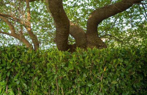 Traditional Luxury Villa ARMONIA - Foto 51