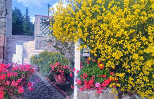 Bellavista Tuscany Apartment Panoramic Terrace - Foto 20