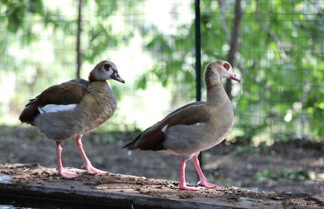 Agriturismo San Cataldo Farm Home - Photo 60