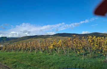 Le Square Inn - Photo 30