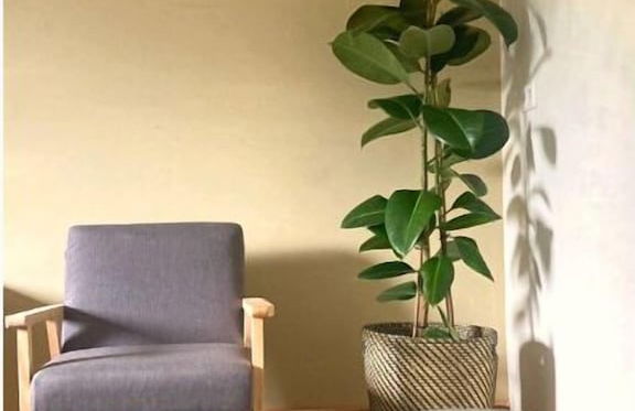 Haus Moorhoff - Foto 5