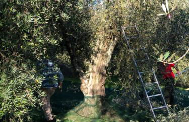 Il Borghetto Andrea Tafi - Foto 50