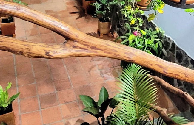 Aparta Hotel Los Tucanes - Photo 23