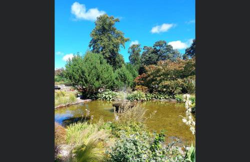 Exclusive Private double room, en-suite wet room Private entrance - Photo 24