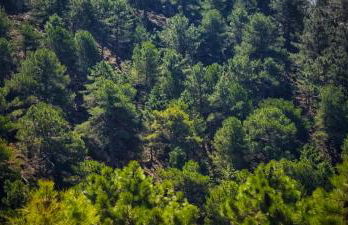 Casa Rural la Piedra del Cambrón - Foto 5