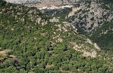 El Refugio Lila de Ubrique - Foto 17