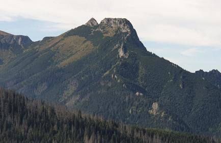 Bukowina Tatrzańska -Czarna Góra- Black Apart- widok na Tatry, jacuzzi, bilard, game room - Foto 56