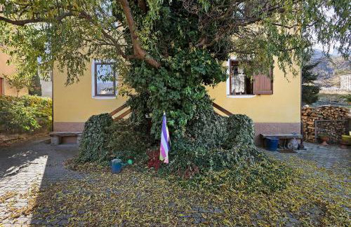 Da Roby - Villa Carolina - Foto 22