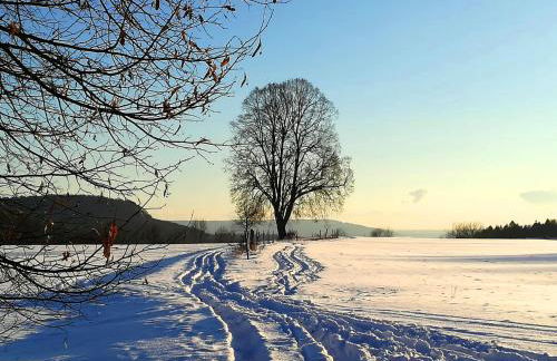 Wunderschöne Ferienwohnung am Glatzenstein im Nürnberger Land - Foto 38