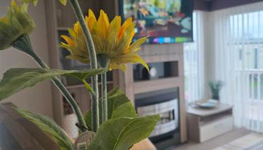 Sunflower 62 Braunton - Foto 3