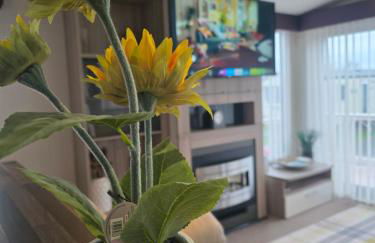 Sunflower 62 Braunton - Foto 3