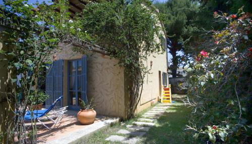 palma paradise - Foto 2