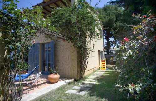 palma paradise - Foto 2