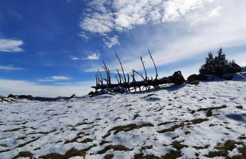 plain-pied proche base de loisirs et voie verte - Foto 37