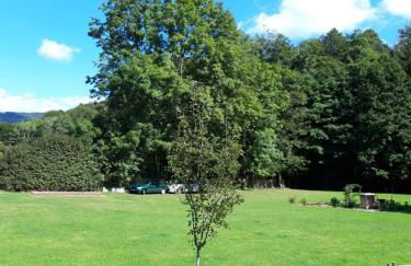 Gîte du Plainet - Foto 13