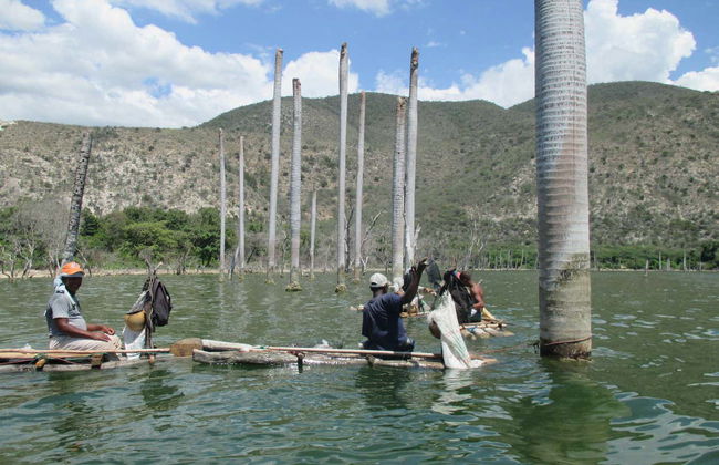 Excursión al lago Enriquillo con avistamiento de cocodrilos - Foto 6