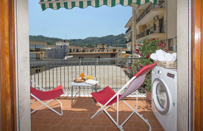 Sofia flora - Photo 42