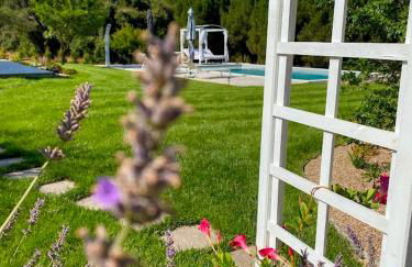 Quinta Vale da Paz - Foto 58