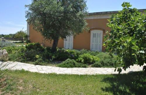 Tenuta Masseria del Gallo - Foto 26