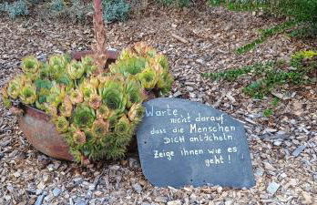 Ferienwohnung Ohne Gleichen - Foto 31