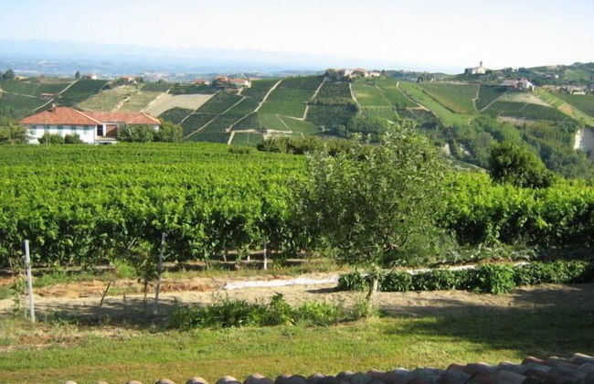 Agriturismo Cà Trinchè - Photo 24