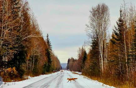 The Fancy Fox - Frontier Village - Foto 29