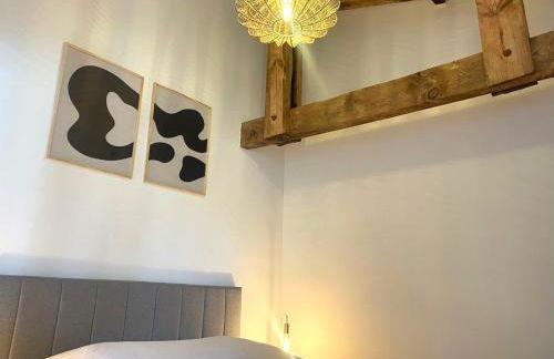 Logement neuf tout équipé, climatisé avec terrasse, barbecue, proche du bourg et des plages océanes, WIFI, linge et ménage compris - Foto 23