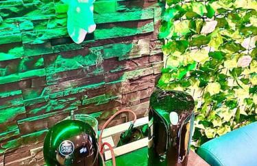 La forêt enchantée, centre ville - Foto 9